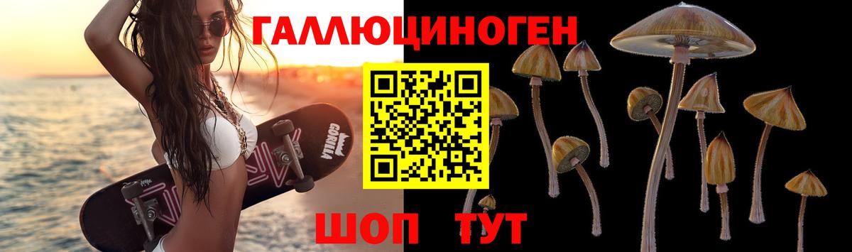 Галлюциногенные грибы GOLDEN TEACHER  Вход с VPN  Дербент  Галлюциногенные грибы мухоморы 
